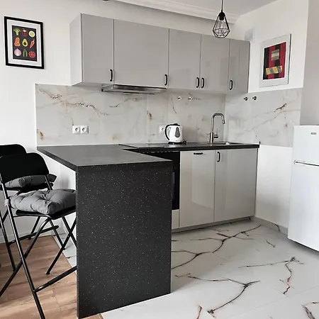 Ohmyhome-ogrod Saski